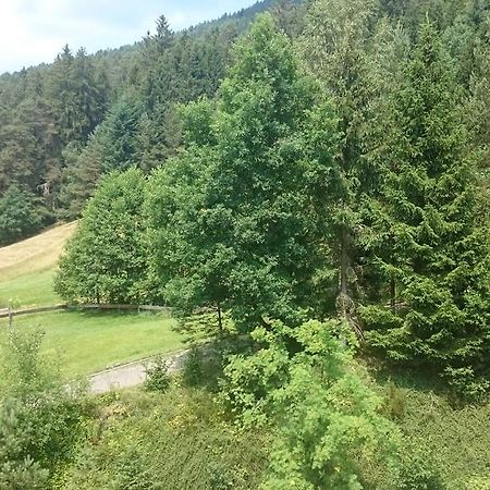Waldblick Tonbach Apartment Baiersbronn Phòng bức ảnh